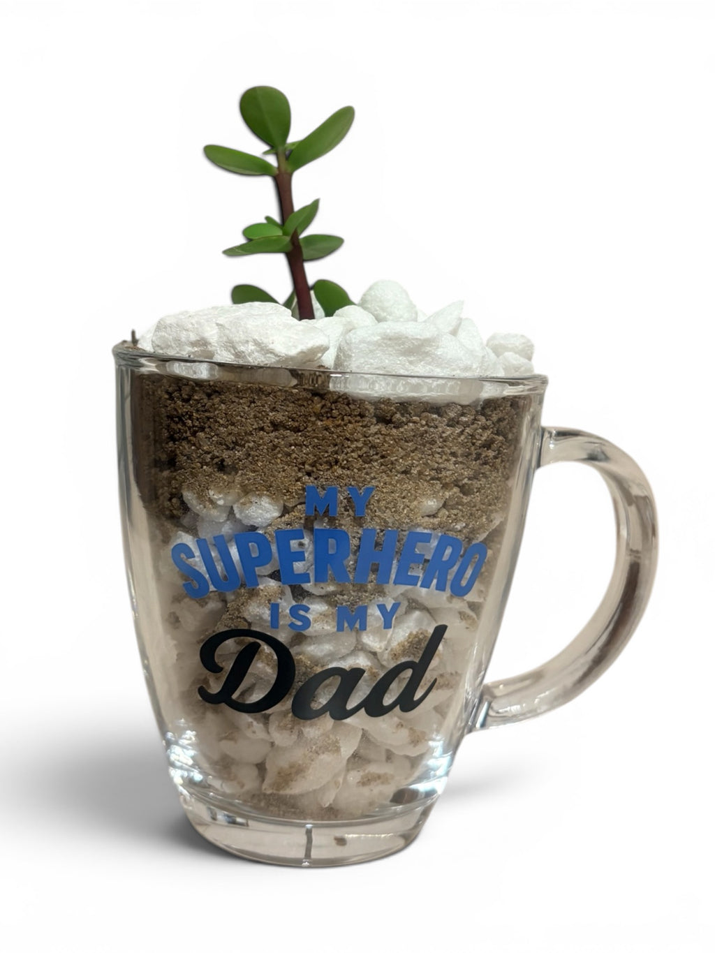 My Dad Is My Superhero Succulent Planter